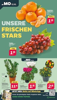 Aktueller Netto mit dem Scottie Prospekt "Günstig. Besser. Für Dich." Seite 2 von 35 Seiten