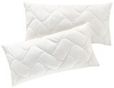 Steppbett Angebote von fan bei Penny Pirna für 17,99 €