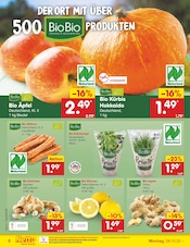 Ähnliche Angebote wie Erdbeerpflanzen im Prospekt "Aktuelle Angebote" auf Seite 6 von Netto Marken-Discount in Bremerhaven