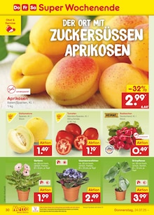 Blumen im Netto Marken-Discount Prospekt "Aktuelle Angebote" mit 65 Seiten (Düsseldorf)