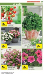 Offre Plantes dans le catalogue Carrefour Market du moment à la page 27