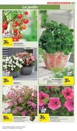 Plantes Angebote im Prospekt "Carrefour Market" von Carrefour Market auf Seite 27