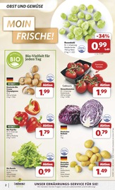 Tomaten im combi Prospekt in Rheine Aktueller combi Prospekt mit Tomaten, "Markt - Angebote", Seite 2