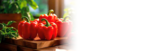 Paprika rot im Angebot bei Marktkauf in Greifswald Paprika rot Angebote bei Marktkauf Greifswald für 0,99 €