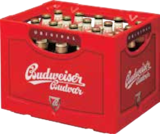 Aktuelles Budweiser Budvar tschechisches Bier Angebot bei E neukauf in Hamburg ab 14,99 €