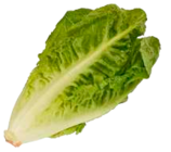 Mini Romanasalat im aktuellen EDEKA Prospekt