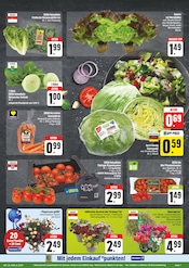 Blumen im EDEKA Prospekt in Gera Aktueller EDEKA Prospekt mit Blumen, "Wir lieben Lebensmittel!", Seite 7