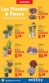 Prospectus Lidl "Fan de l'été" en cours à Colmar, Page 28 Catalogue Lidl en cours à Colmar, "Fan de l'été", Page 28