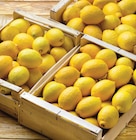 Citron Jaune à 1,89 € dans le catalogue Netto