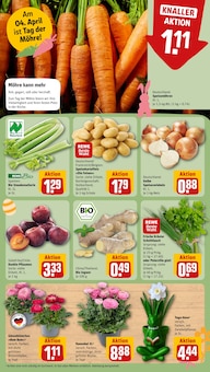 Blumen im REWE Prospekt "Dein Markt" mit 20 Seiten (Bremen)