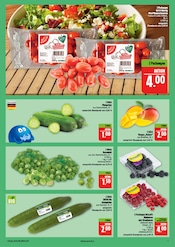 Zimmerpflanzen im Marktkauf Prospekt in Nürnberg Aktueller Marktkauf Prospekt mit Zimmerpflanzen, "AUSWAHL RIESIG, PREISE NIEDRIG", Seite 7