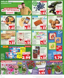 Blumenständer Angebot & Preis im aktuellen Kaufland Prospekt Blumenständer Angebot im aktuellen Kaufland Prospekt auf Seite 22