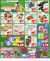 Blumenuntersetzer Angebote im Prospekt "Aktuelle Angebote" von Kaufland auf Seite 22