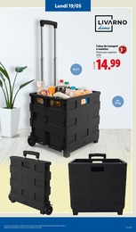 Prix et réduction Caisse De Rangement dans le prospectus Lidl en cours Offre Caisse De Rangement dans le catalogue Lidl du moment à la page 73