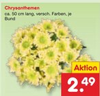 Chrysanthemen im aktuellen Netto Marken-Discount Prospekt