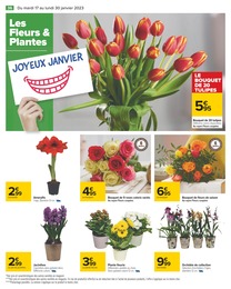 Prix et réduction Bricolage et Jardin dans le prospectus Carrefour en cours Offre Bricolage et Jardin dans le catalogue Carrefour du moment à la page 36