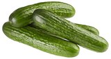 Mini Gurken von REWE Regional im aktuellen REWE Prospekt für 4,99 €