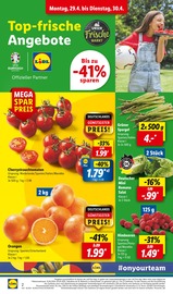 Ähnliche Angebote wie Papaya im Prospekt "LIDL LOHNT SICH" auf Seite 2 von Lidl in Kassel