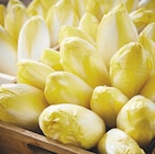 Endive dans le catalogue Netto