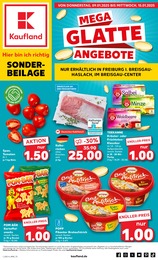 Kaufland Prospekt für Hinterzarten mit 8 Seiten Kaufland Prospekt für Hinterzarten: "Sonderbeilage", 8 Seiten, 09.01.2025 - 15.01.2025