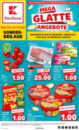 Kaufland Prospekt für Schallstadt: "Sonderbeilage", 8 Seiten, 09.01.2025 - 15.01.2025