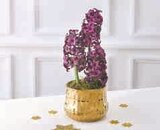 Composition de 3 jacinthes en promo à 6,99 € chez Hyper U Composition de 3 jacinthes dans le catalogue Hyper U