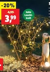 Solar-Lichterkette Angebote bei Thomas Philipps Neustadt für 3,99 €