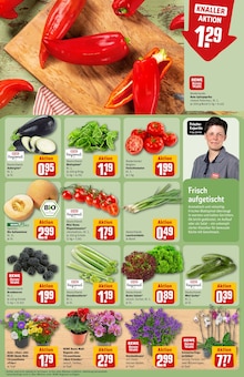 Tomaten im REWE Prospekt "Dein Markt" mit 30 Seiten (Herne)