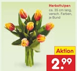 Aktuelle Tulpen Angebote bei Netto Marken-Discount in Mannheim Aktuelles Herbsttulpen Angebot bei Netto Marken-Discount in Mannheim ab 2,99 €