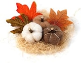 Herbst-Deko-Mix im Angebot bei Thomas Philipps in Leverkusen Herbst-Deko-Mix Angebote bei Thomas Philipps Leverkusen für 2,99 €