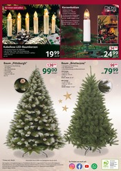 Künstlicher Weihnachtsbaum im Selgros Prospekt in Esslingen Aktueller Selgros Prospekt mit Künstlicher Weihnachtsbaum, "cash & carry", Seite 32