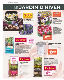 Prospectus Point Vert en cours, "POUR MON JARDIN D'HIVER", page 2 sur 4