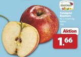 combi - Tafeläpfel Braeburn Angebot im Prospekt Tafeläpfel Braeburn bei combi im Prospekt "" für 1,66 €