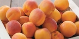 Abricots à Netto dans Vitteaux