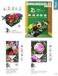 Offre Fleurs d'extérieur dans le catalogue E.Leclerc du moment à la page 5