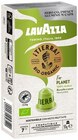 Tierra Kaffeekapseln oder Espresso Kaffeekapseln von Lavazza für 2,69 € bei REWE im Angebot Tierra Kaffeekapseln oder Espresso Kaffeekapseln von Lavazza im aktuellen REWE Prospekt