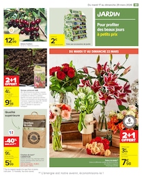 Offre Jardinage dans le catalogue Carrefour Market du moment à la page 51
