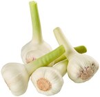Frischer Knoblauch Angebote bei REWE Oranienburg für 0,79 €