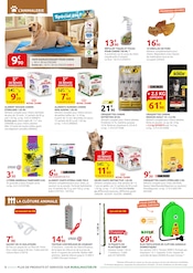Tapis en promo dans le catalogue Rural Master à la page 4