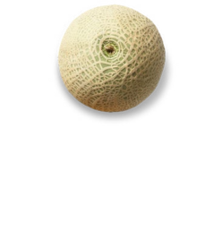 Cantaloupemelone bei Kaufland in Gelsenkirchen Cantaloupemelone im Angebot bei Kaufland Gelsenkirchen für 1,29 €