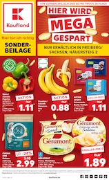 Kaufland Prospekt für Lengefeld: "Sonderbeilage", 8 Seiten, 02.01.2025 - 08.01.2025