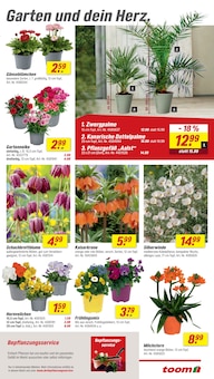 Blumen im aktuellen toom Baumarkt Prospekt (Nürnberg) Blumen im toom Baumarkt Prospekt "Respekt, wer's selber macht." mit 22 Seiten (Nürnberg)
