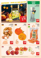 Aktueller Marktkauf Prospekt mit Kürbis, "AUSWAHL RIESIG, PREISE NIEDRIG", Seite 10