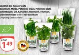 Aktuelle Kräuter Angebote bei GLOBUS in Bochum Aktuelles Bio Kräutertopf Basilikum Angebot bei GLOBUS in Bochum ab 1,49 €