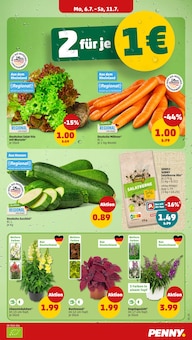 Pflanzen im aktuellen Penny Prospekt (Frankfurt (Main)) Pflanzen im Penny Prospekt "Wer günstig will, muss Penny." mit 44 Seiten (Frankfurt (Main))