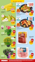 Alpenveilchen Angebot im aktuellen Penny Prospekt auf Seite 30