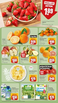 Äpfel im aktuellen REWE Prospekt (Halle (Saale)) Äpfel im REWE Prospekt "Dein Markt" mit 34 Seiten (Halle (Saale))