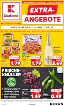 Pizza im Kaufland Prospekt "EXTRA-ANGEBOTE" mit 8 Seiten (Hamm)