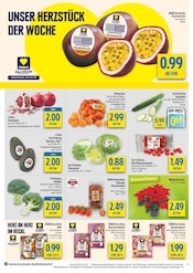 Aktueller diska Prospekt mit Pflanzen, "alles an deinem ort.", Seite 4