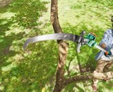 Coupe-branches télescopique avec scie - PARKSIDE en promo chez Lidl Valence à 17,99 €